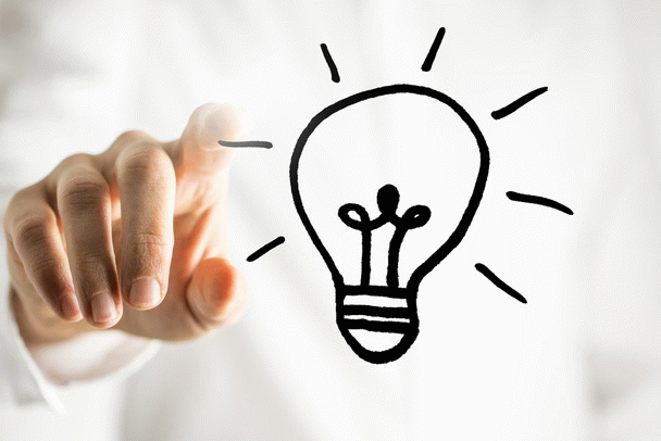 16 نکته درباره سگ مالتیز: همراه کوچولوی دوست‌داشتنی